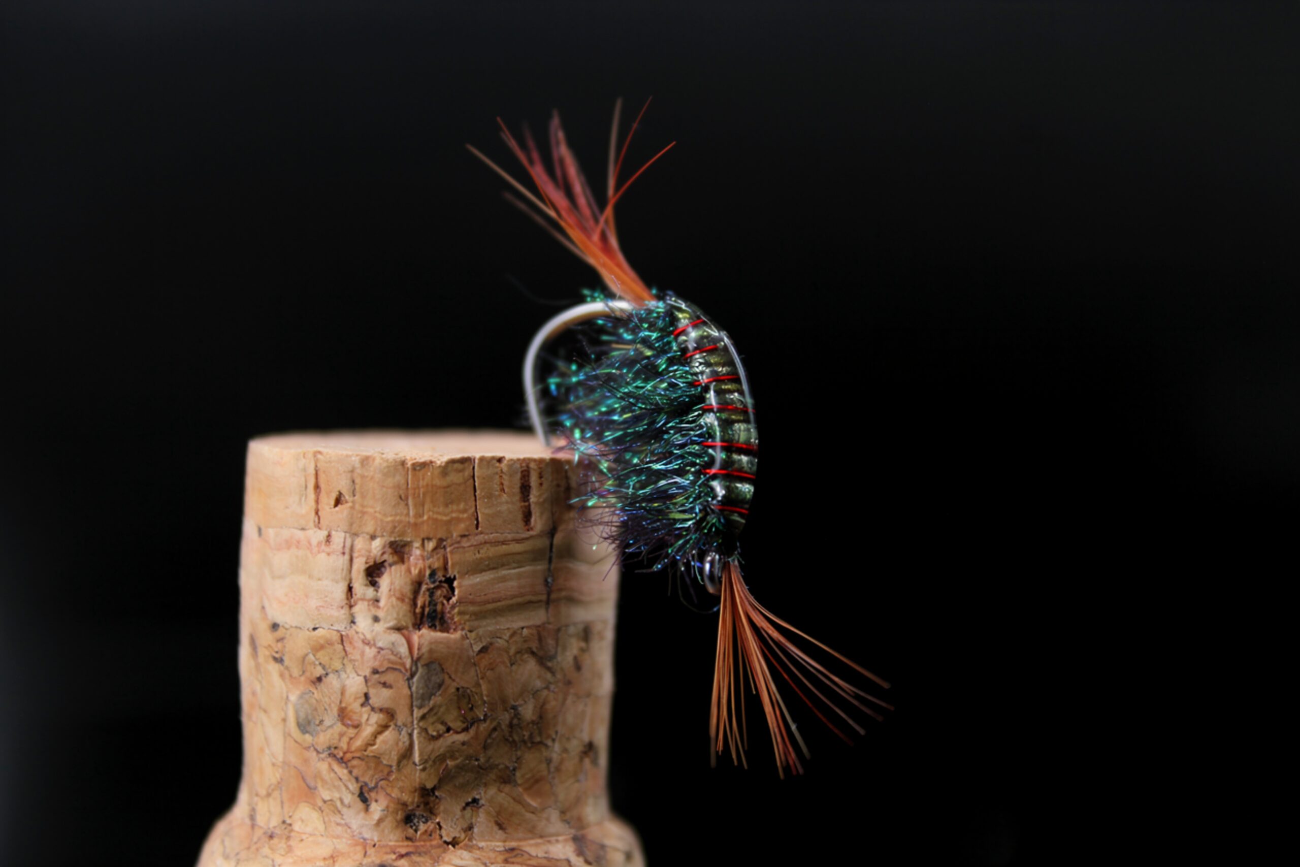Pro Gammarus peacock