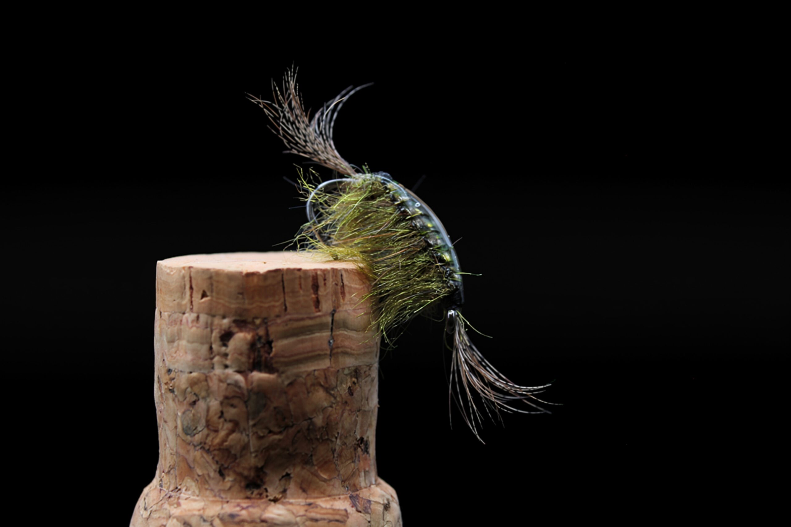 Pro olive Gammarus