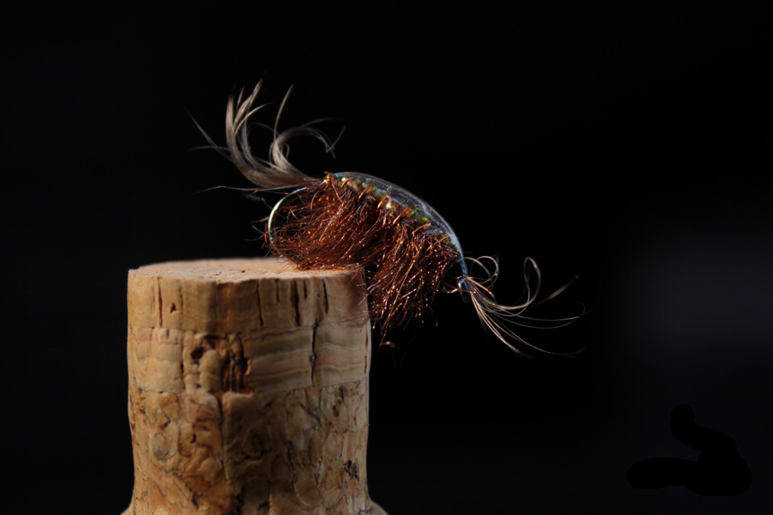 Pro copper gammarus
