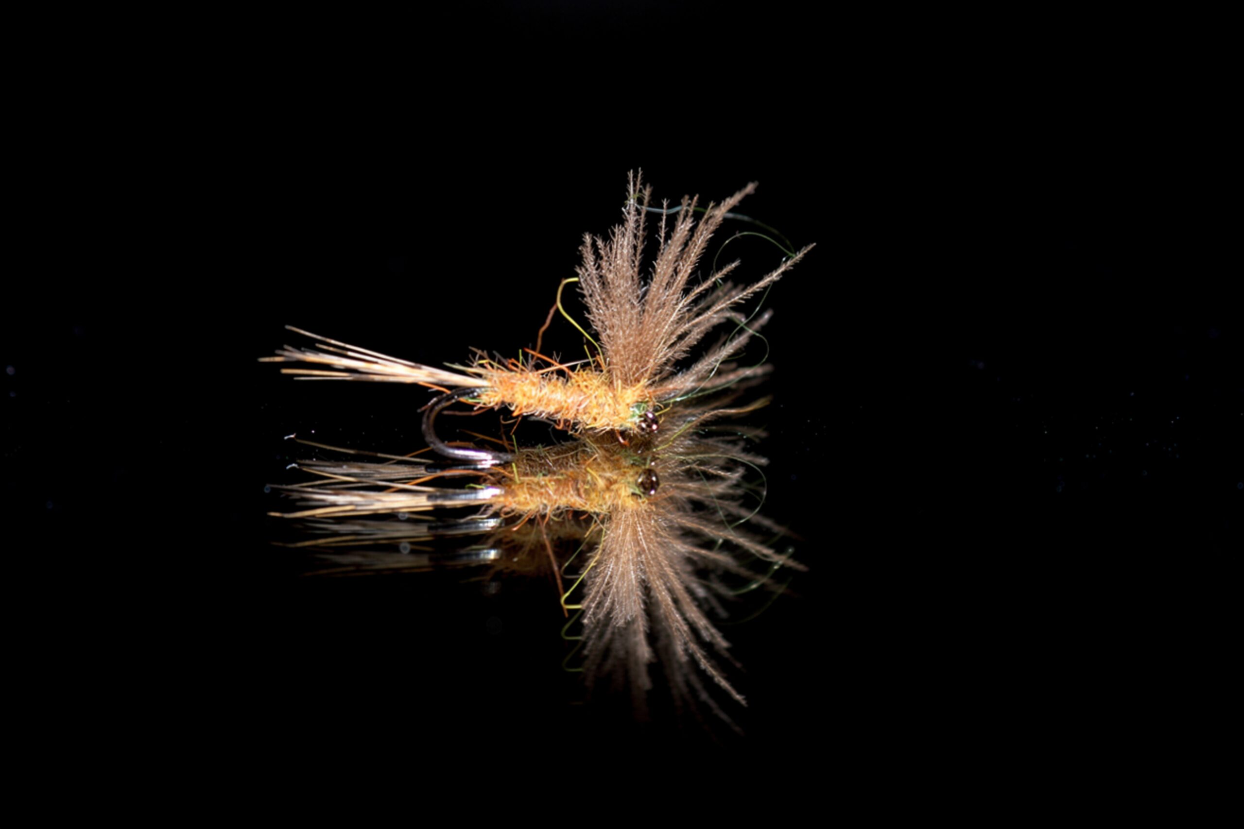 Baetis
