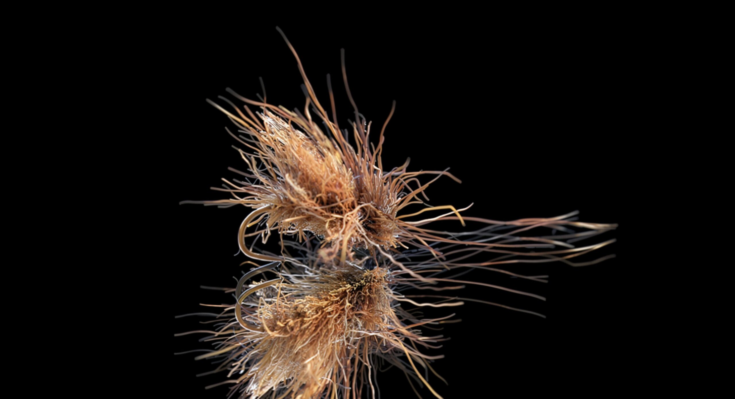 Italian style caddis