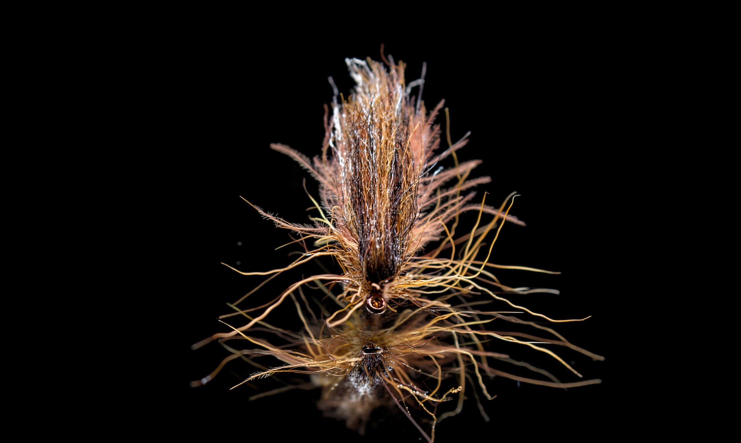 Rena Flua Variant
