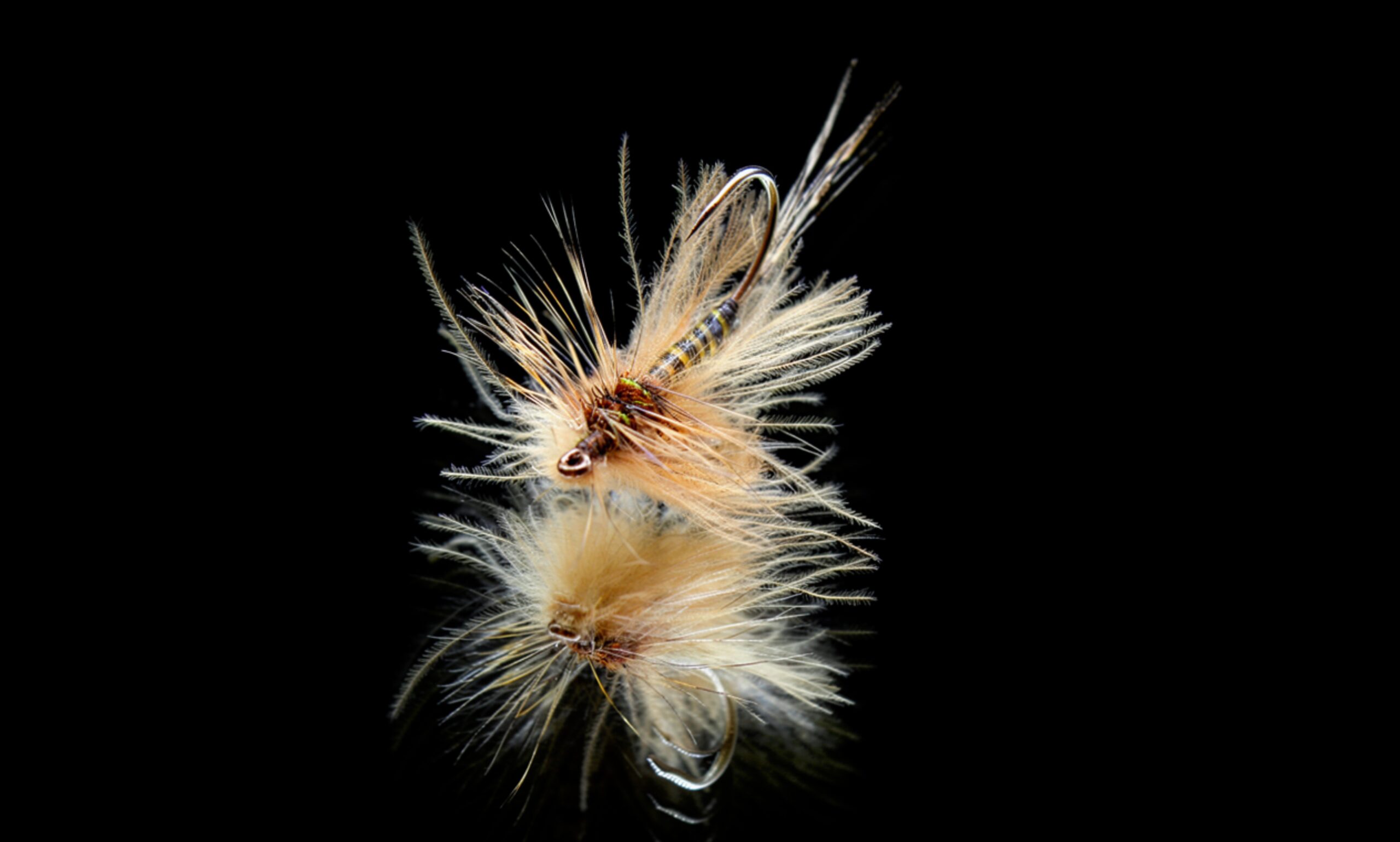 Vulgata Stillborn/ Cripple