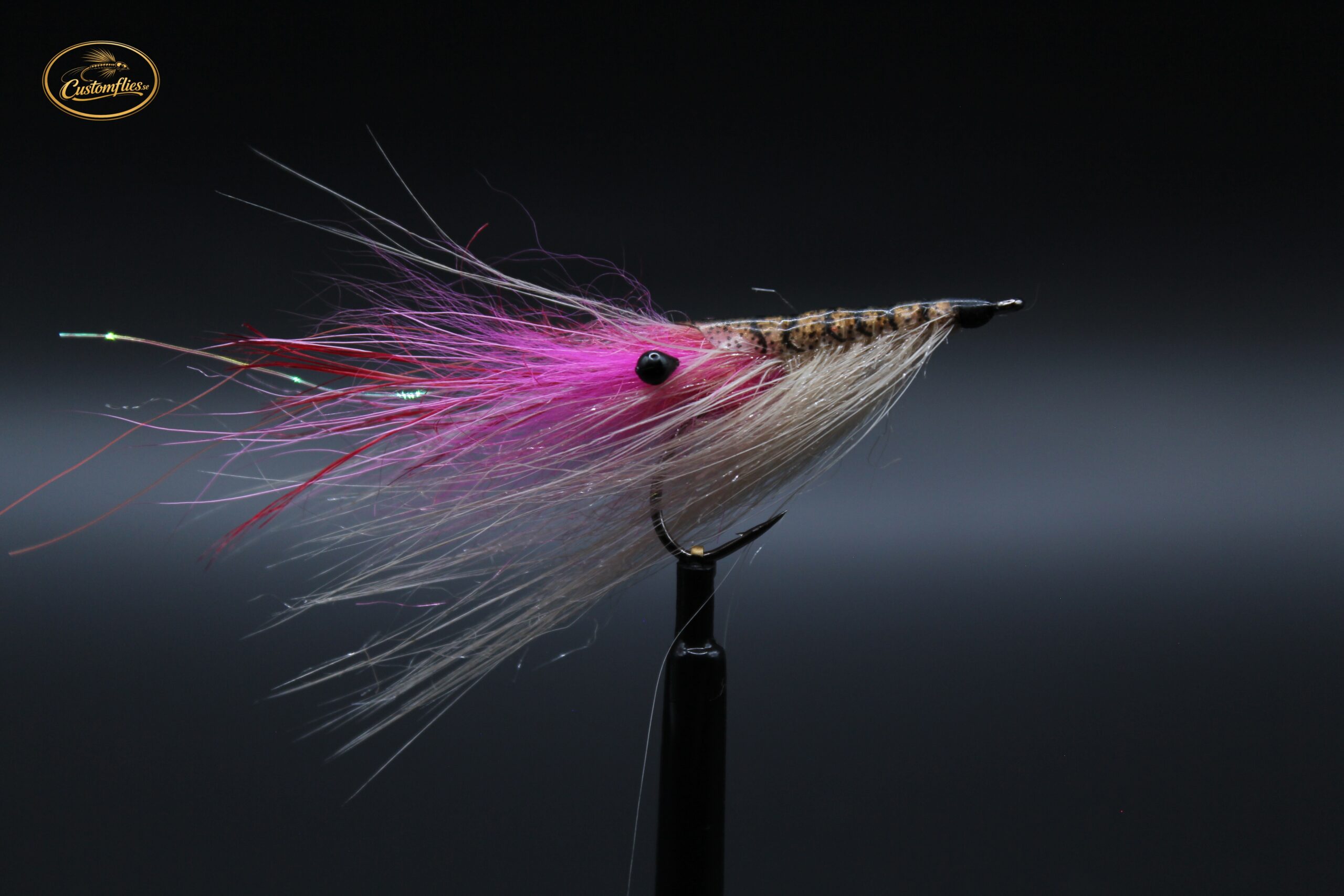 Spey shrimp med sköld