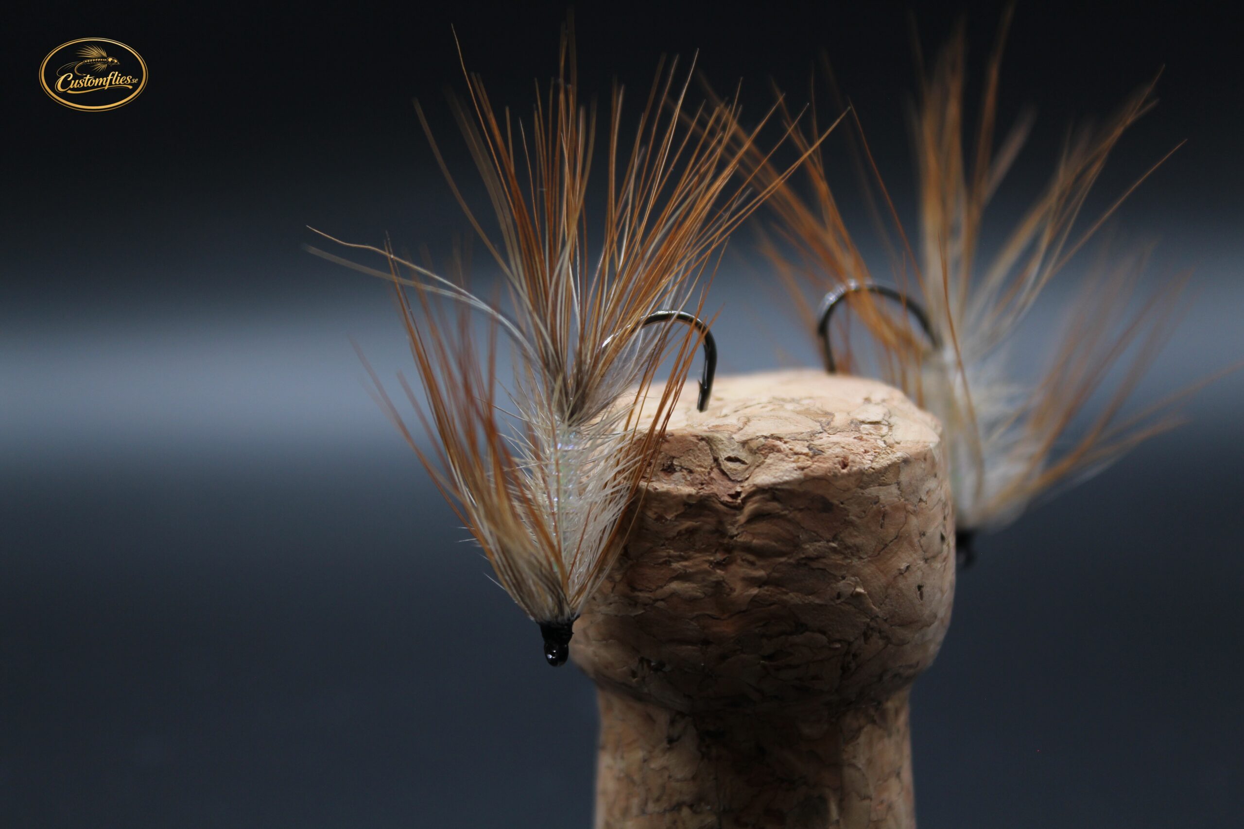 The Pheasant Skeleton