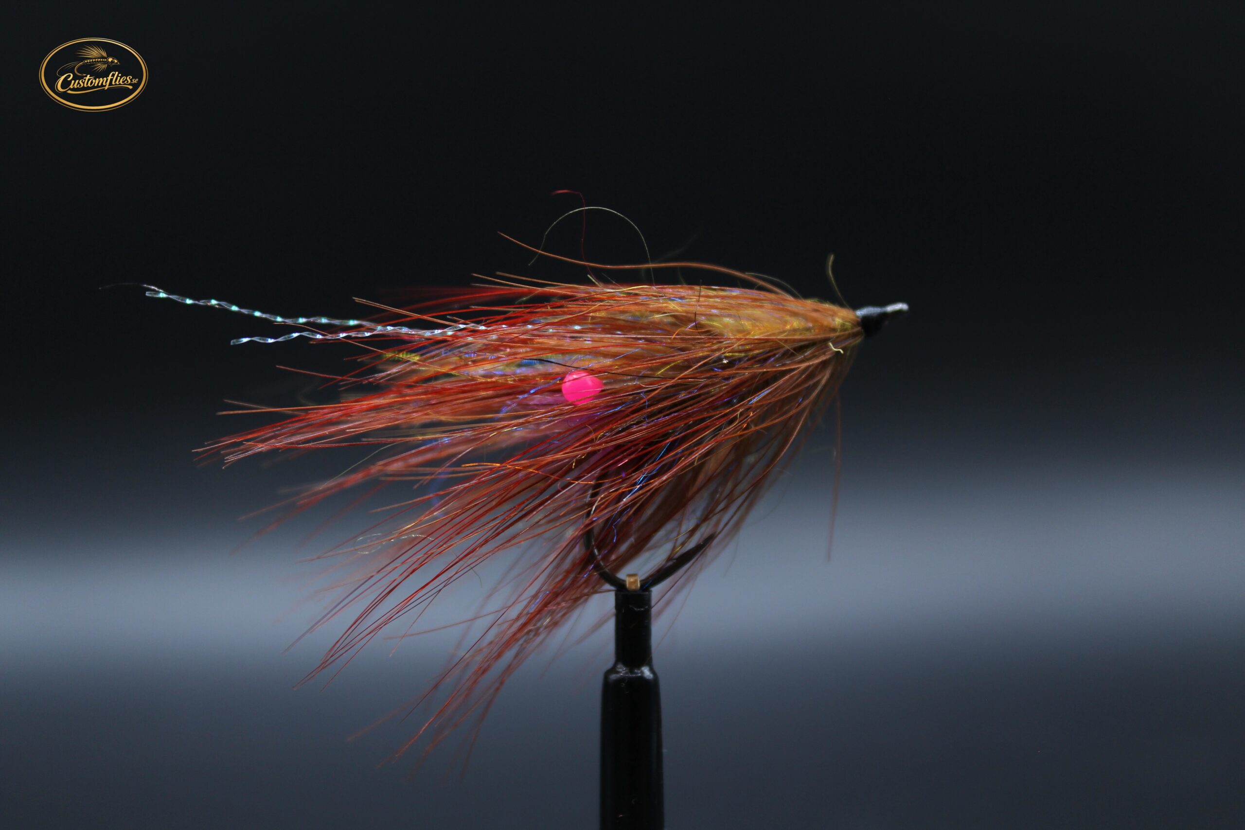 Golden pheasant Shrimp
