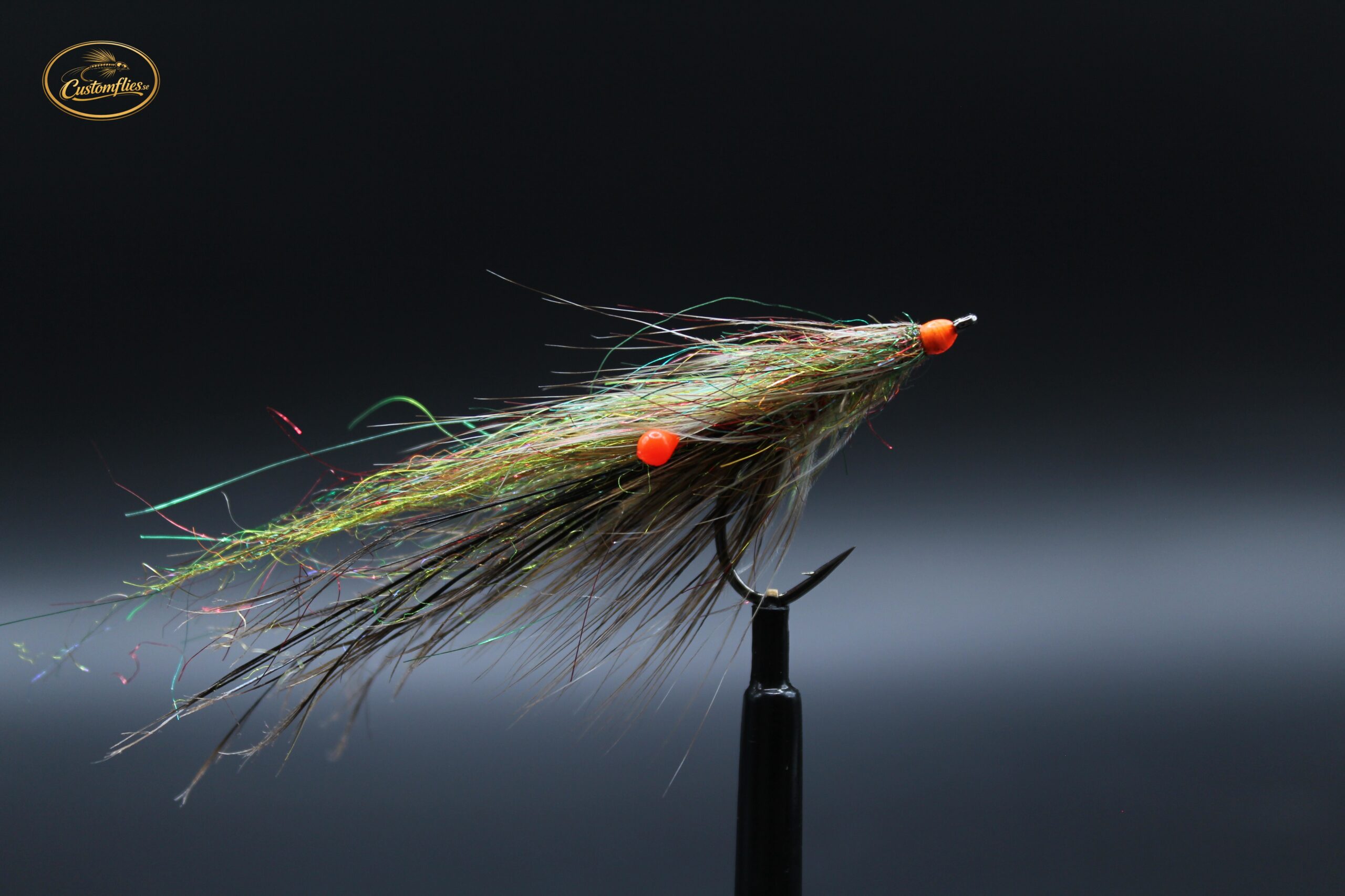 Rainbow Shrimp