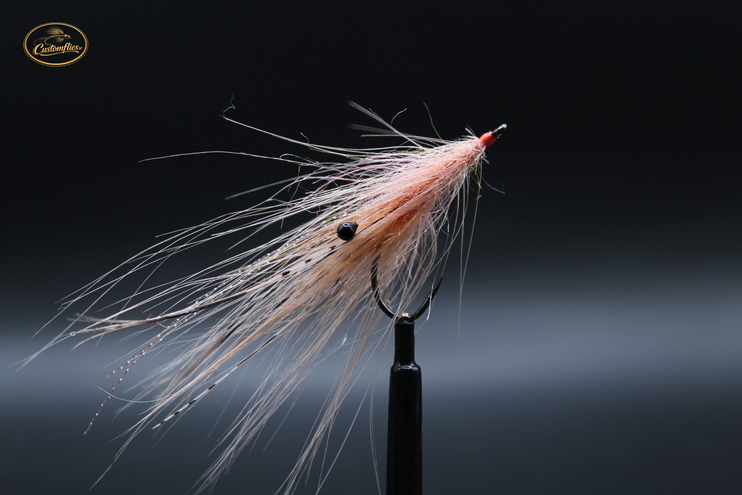 Spey shrimp salmon
