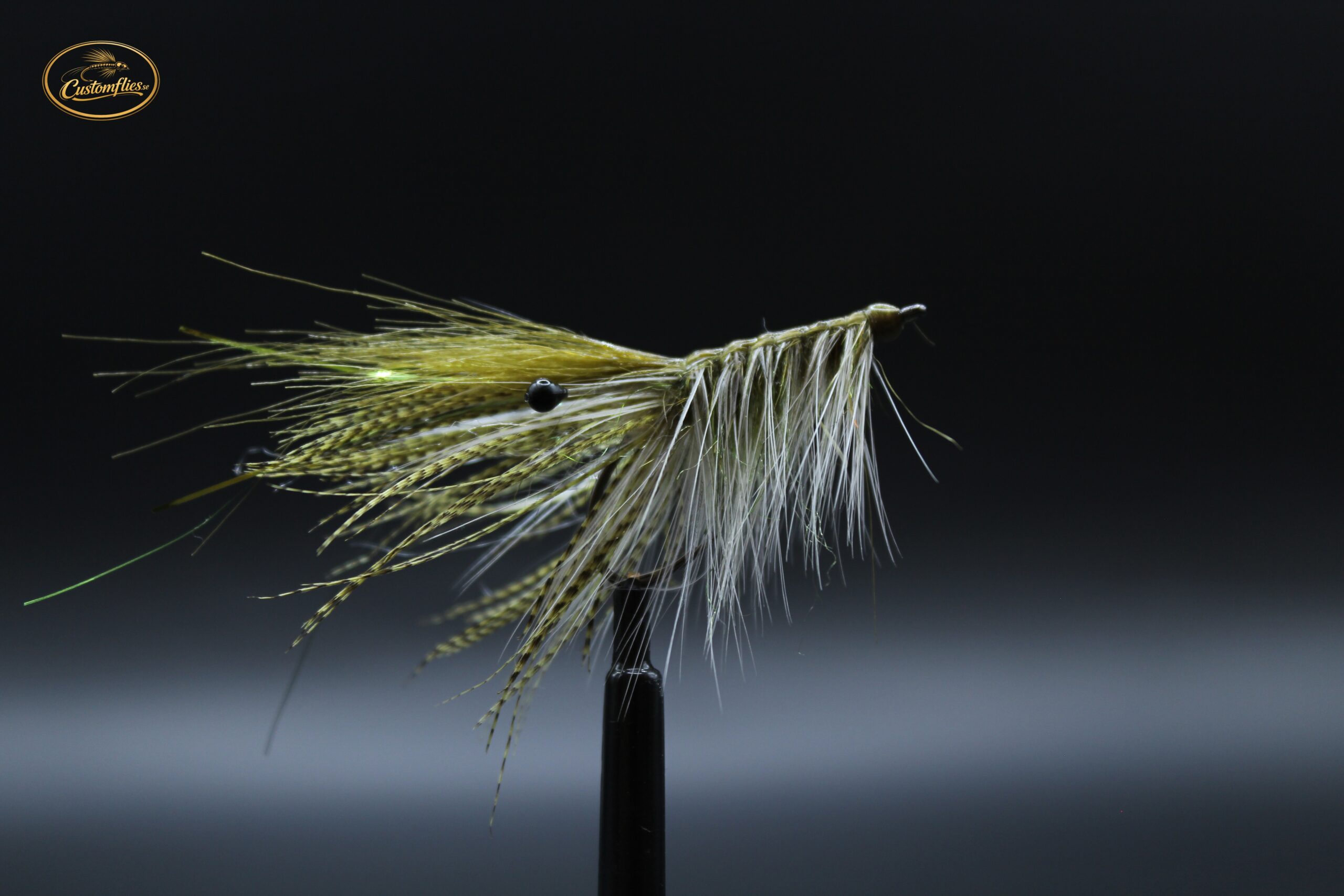 Olive Shrimp