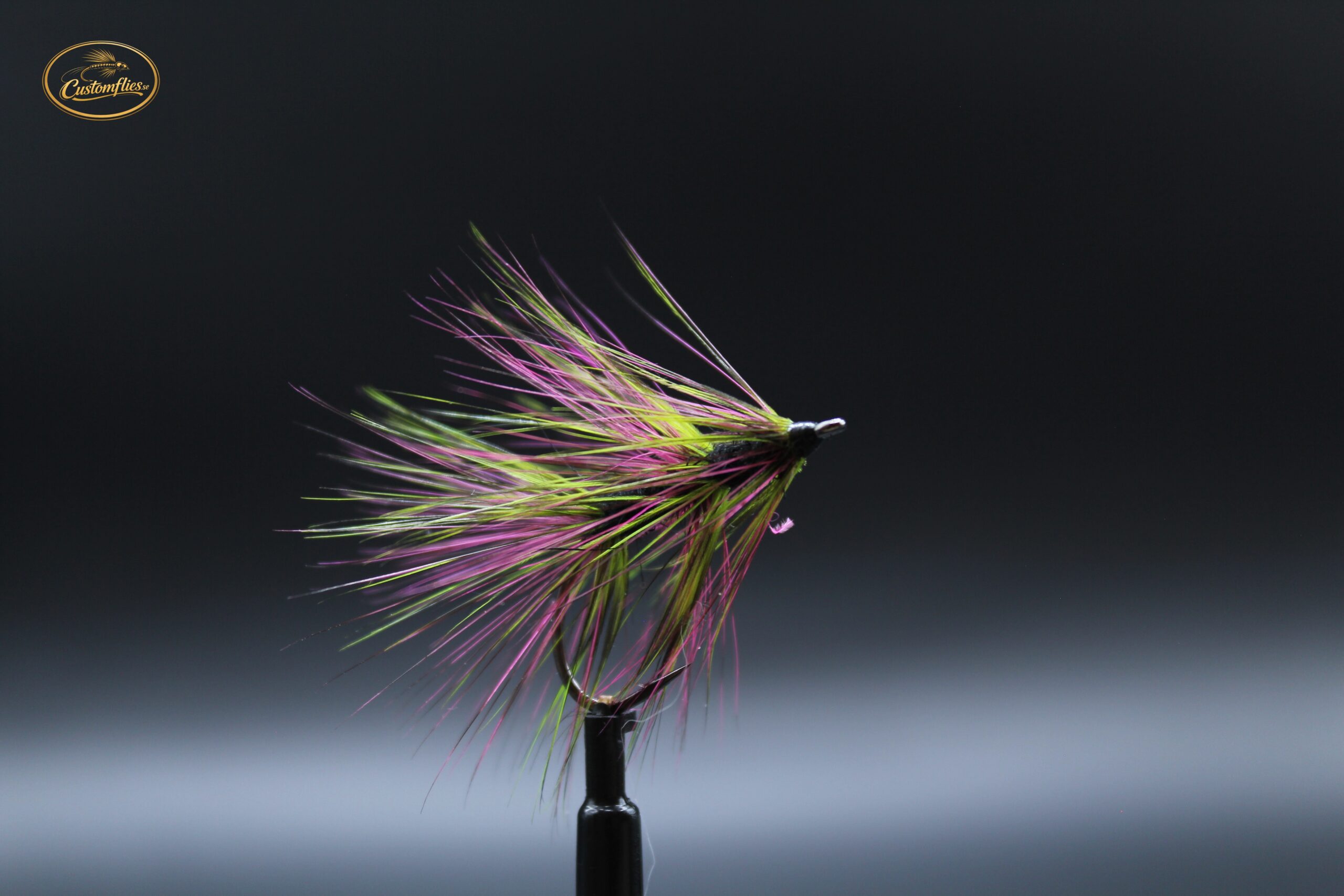 Aurora Streamer