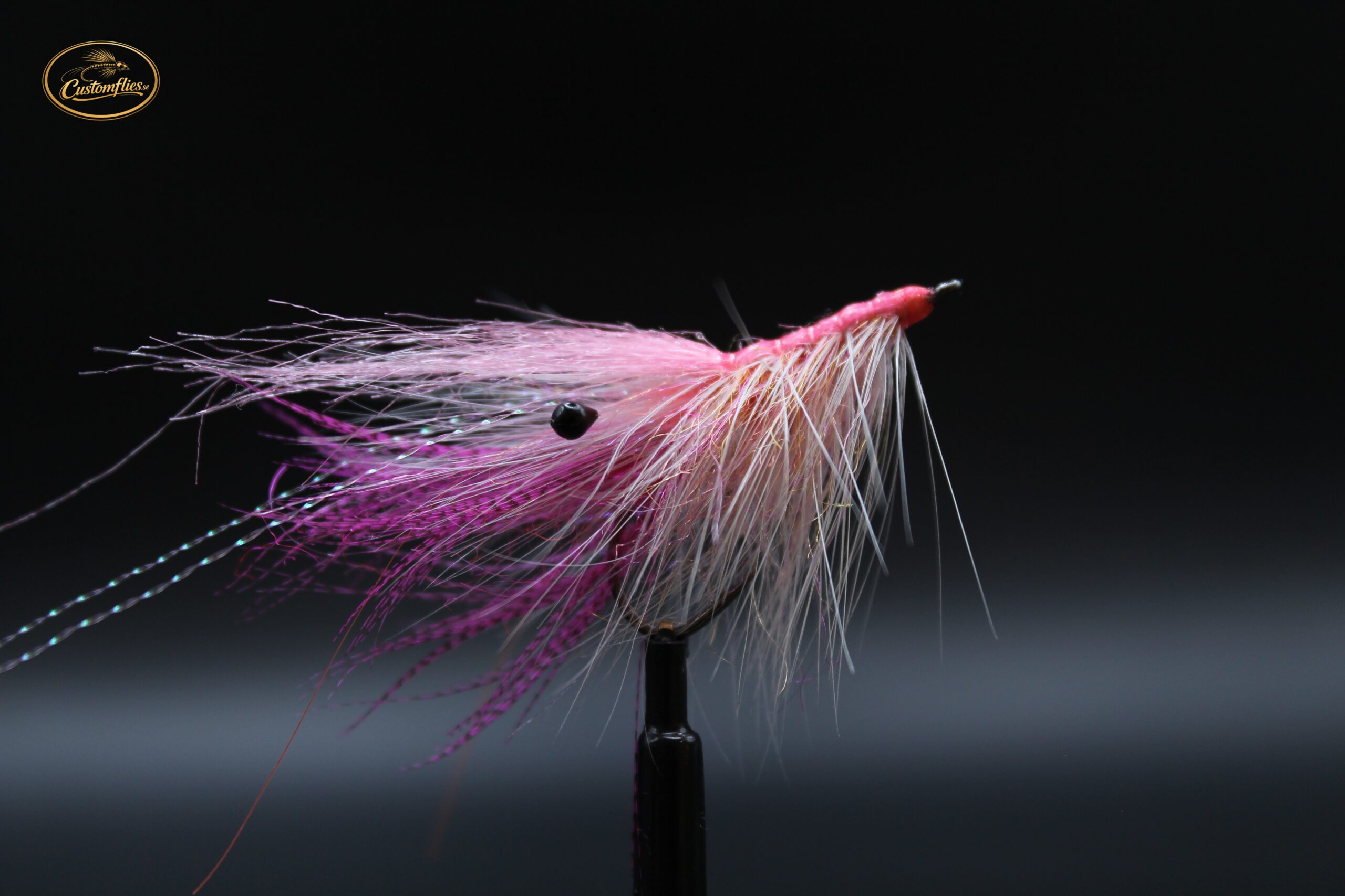Pink lady Shrimp