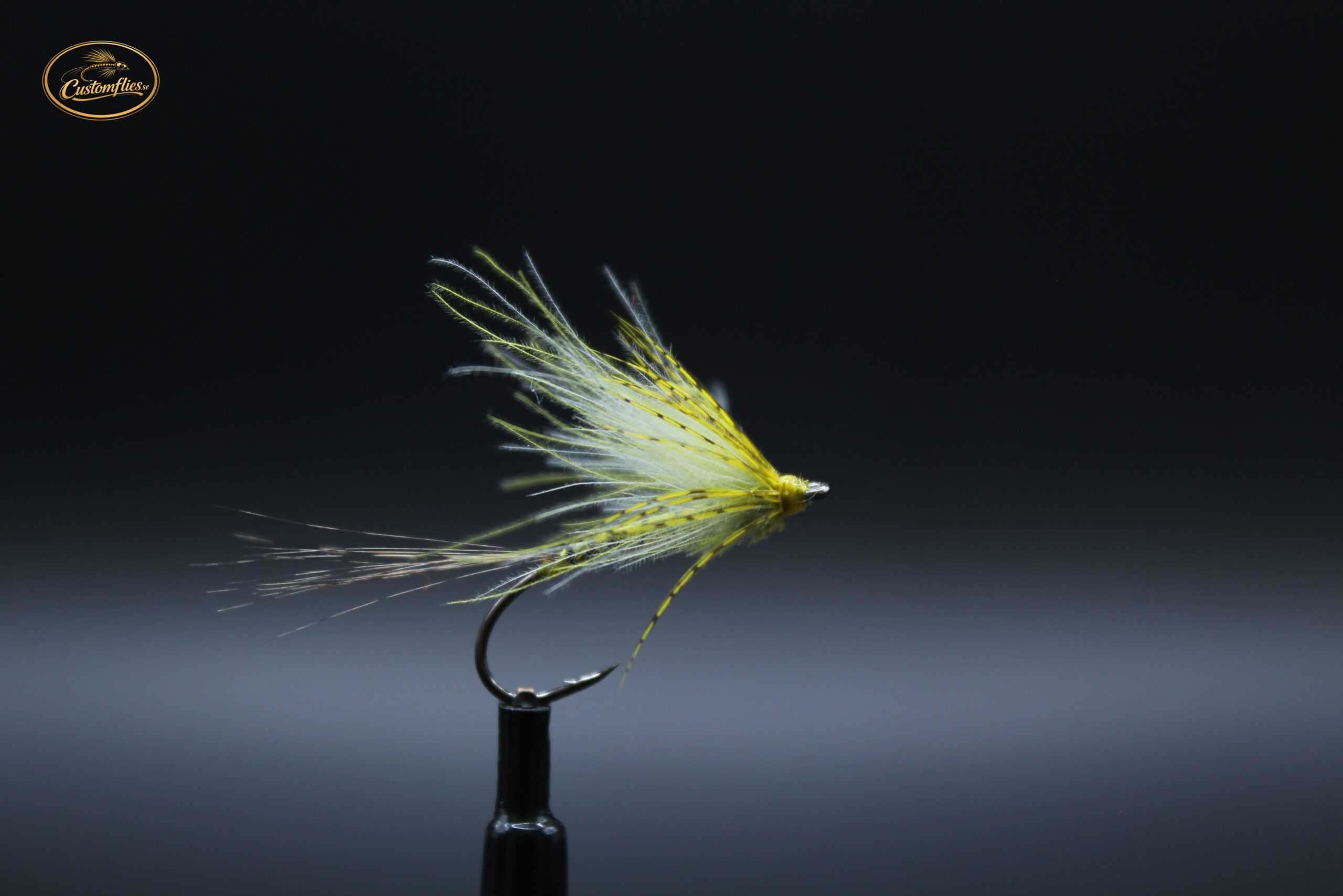 CDC Danica Mayfly