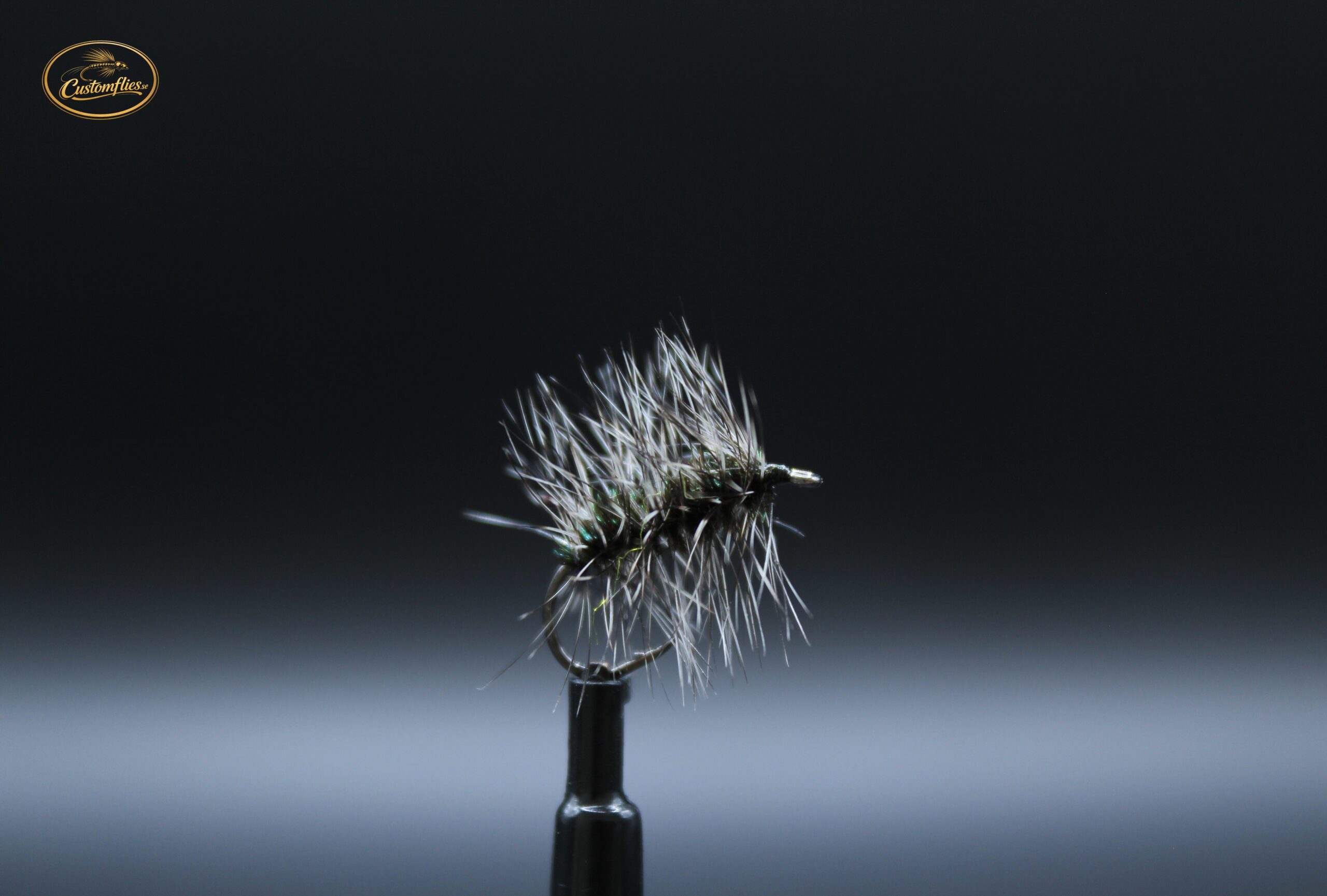 Griffiths Gnat