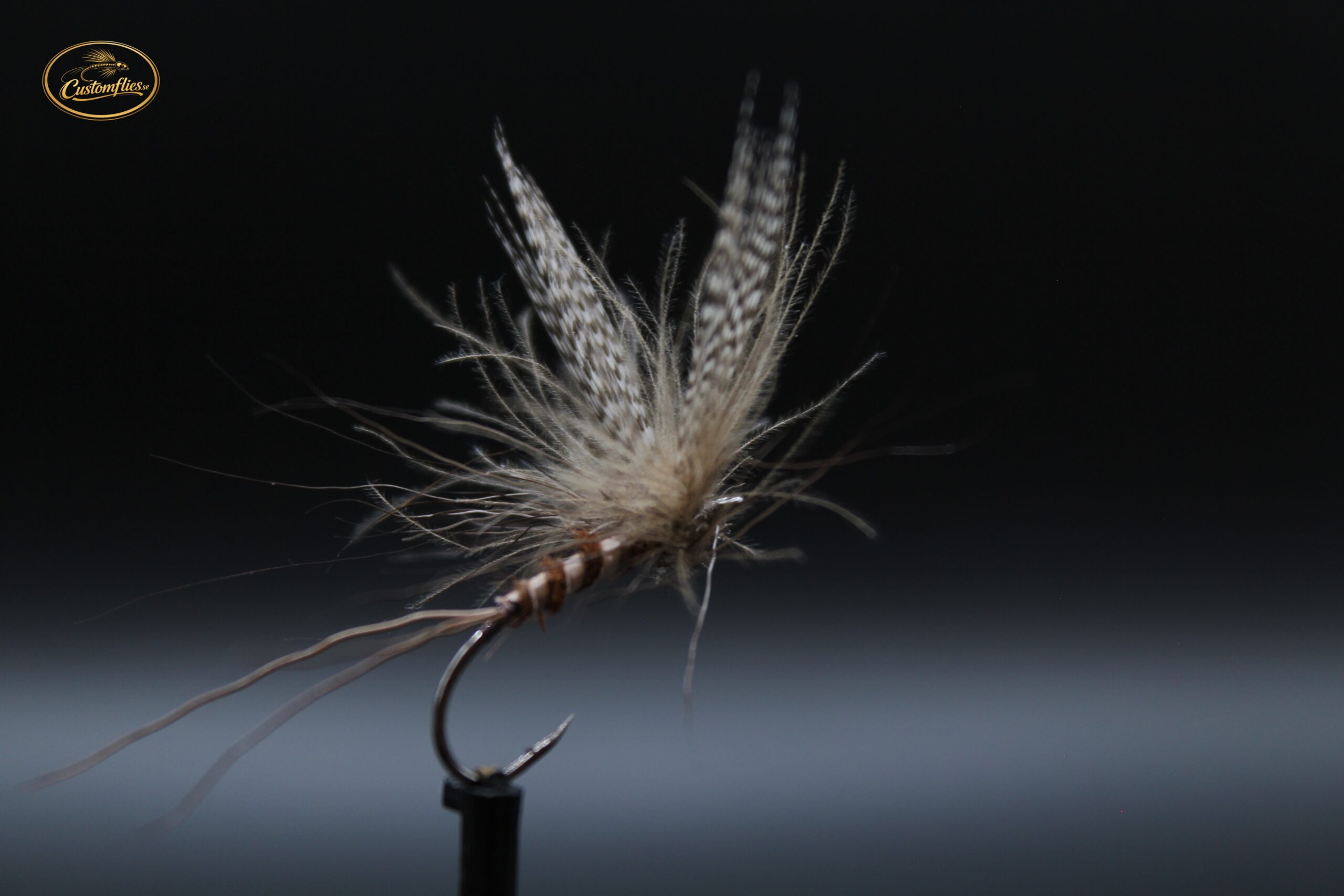 Danica Mayfly