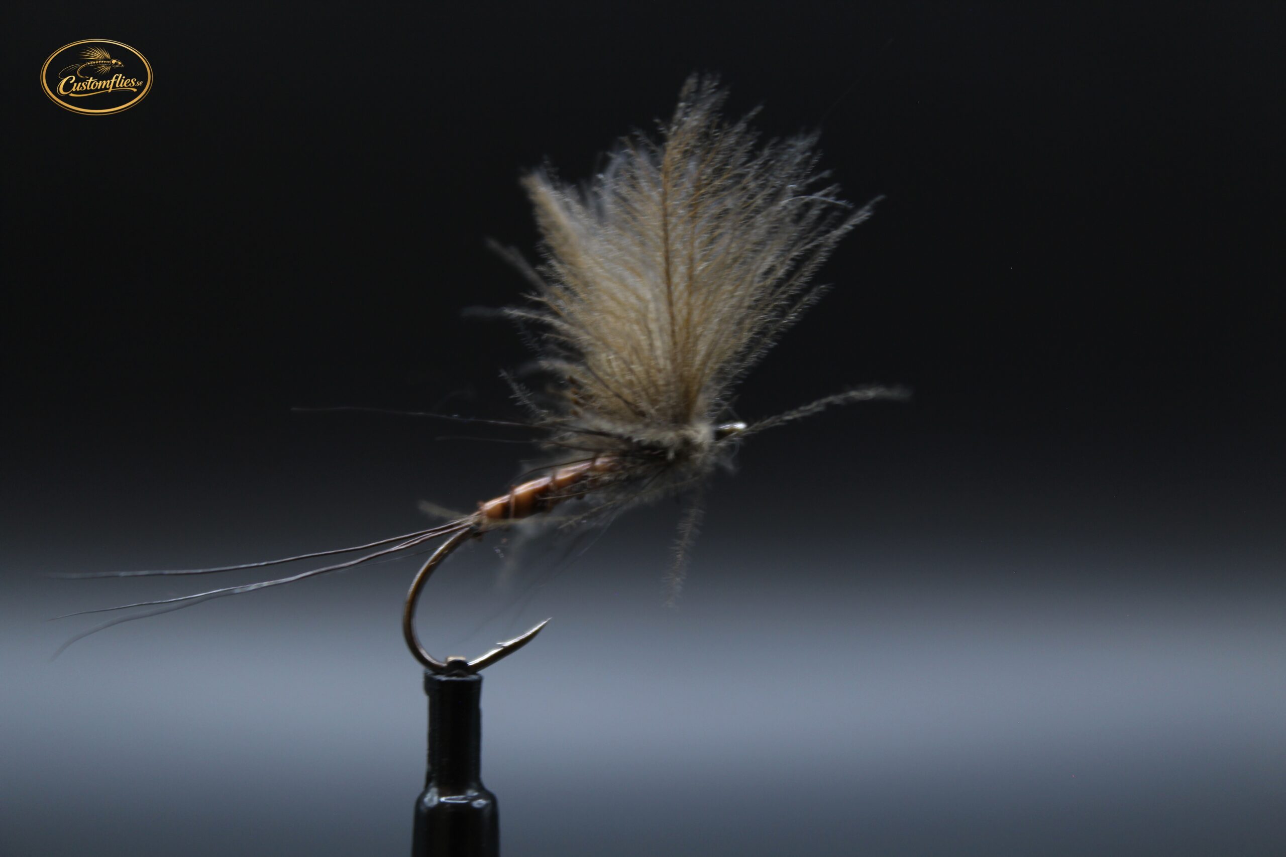 Vulgata Dun (cdc)