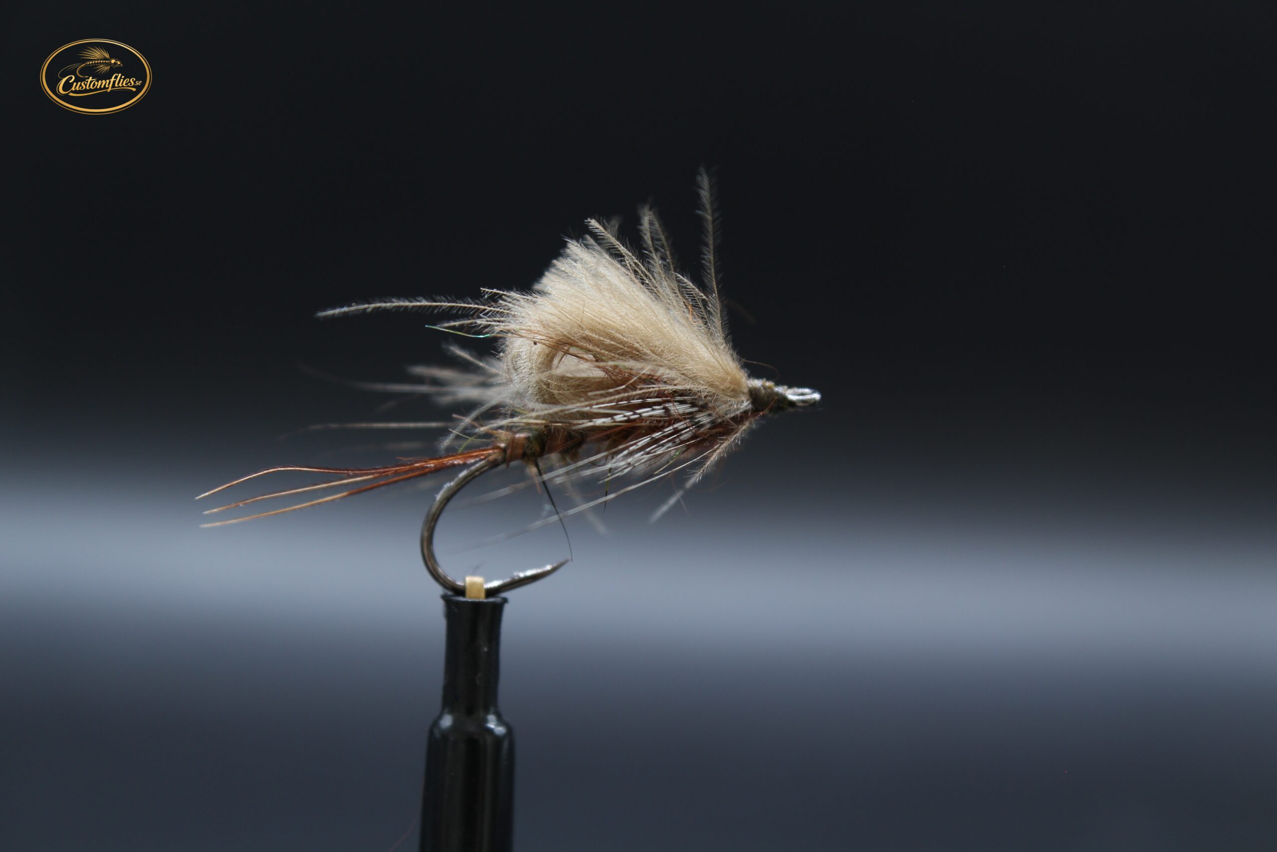 Vulgata cripple
