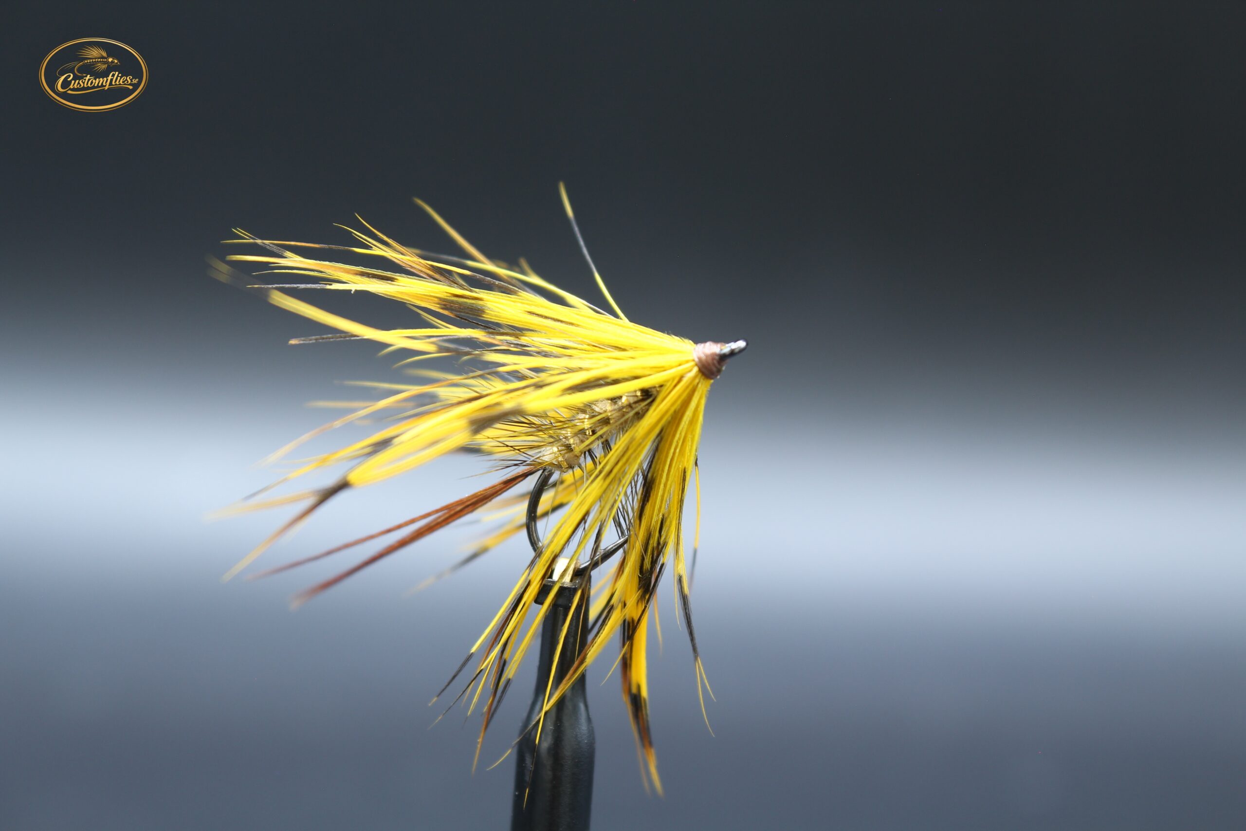 Yellow French partridge mayfly