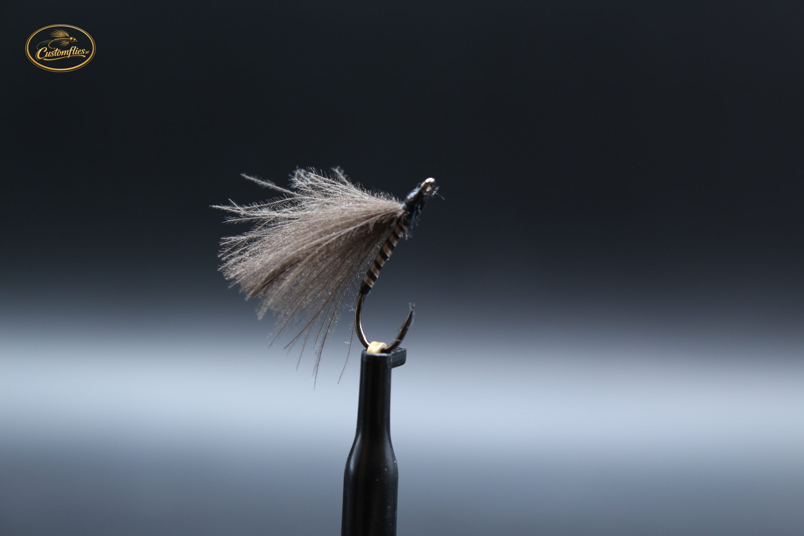 F-Fly