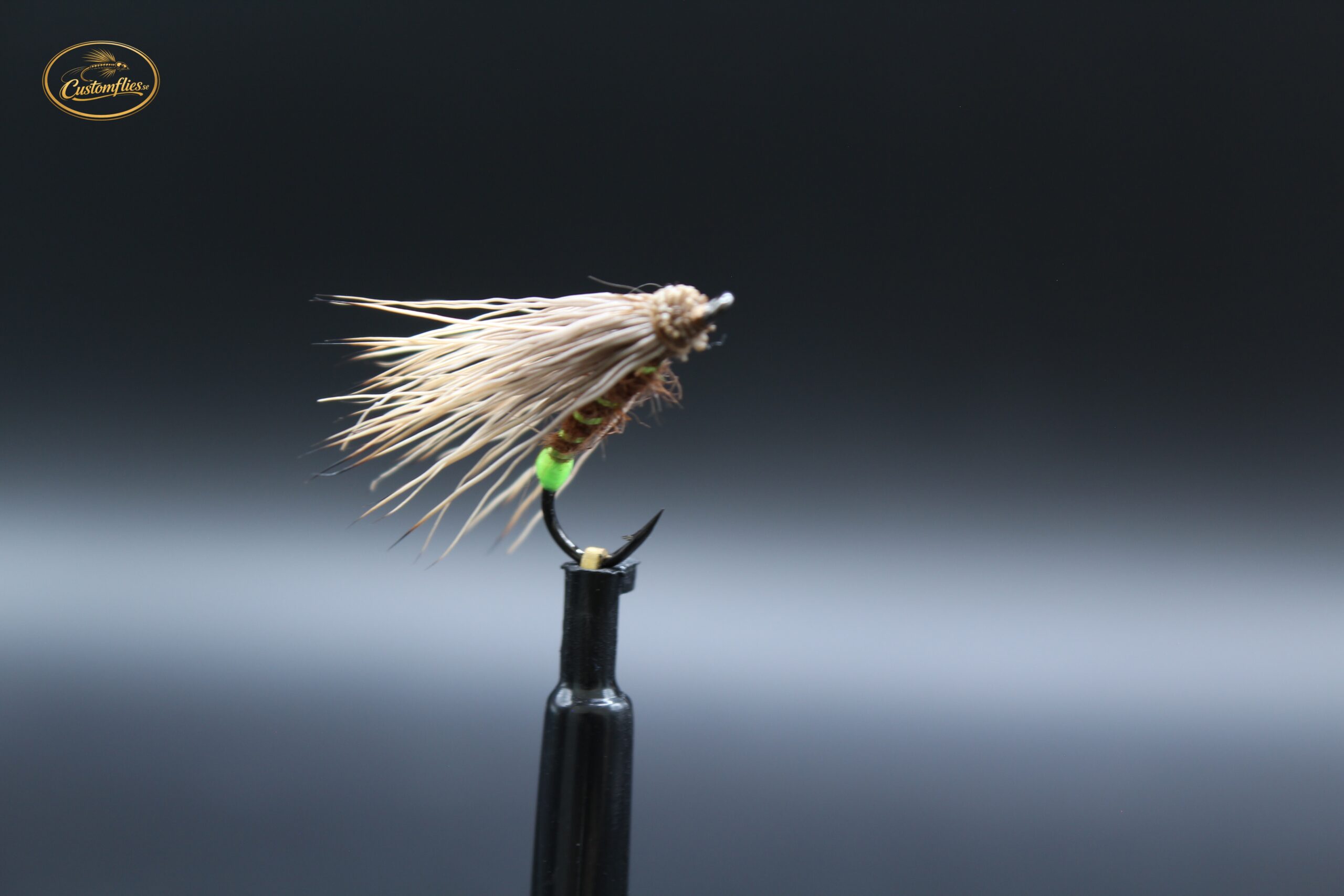 Egg Laying Caddis