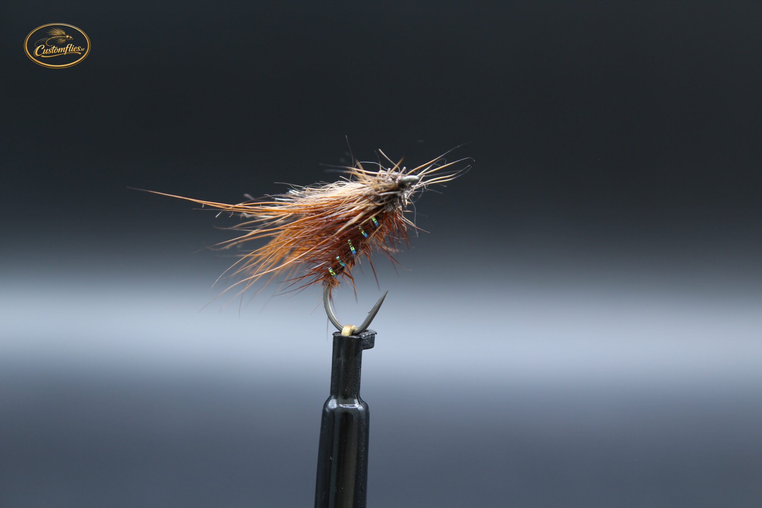 woodchock  Caddis