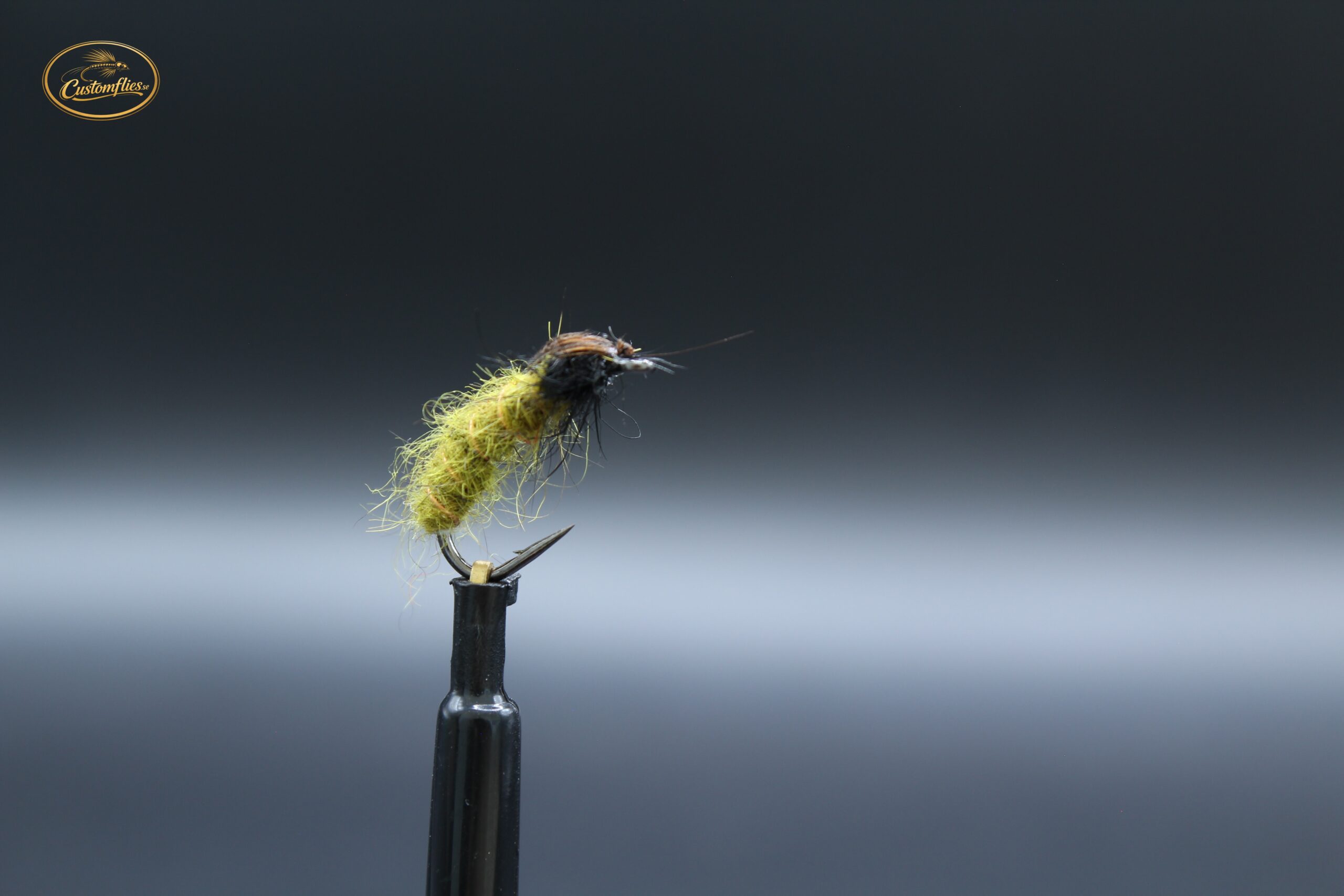 Olive Caddis Larva