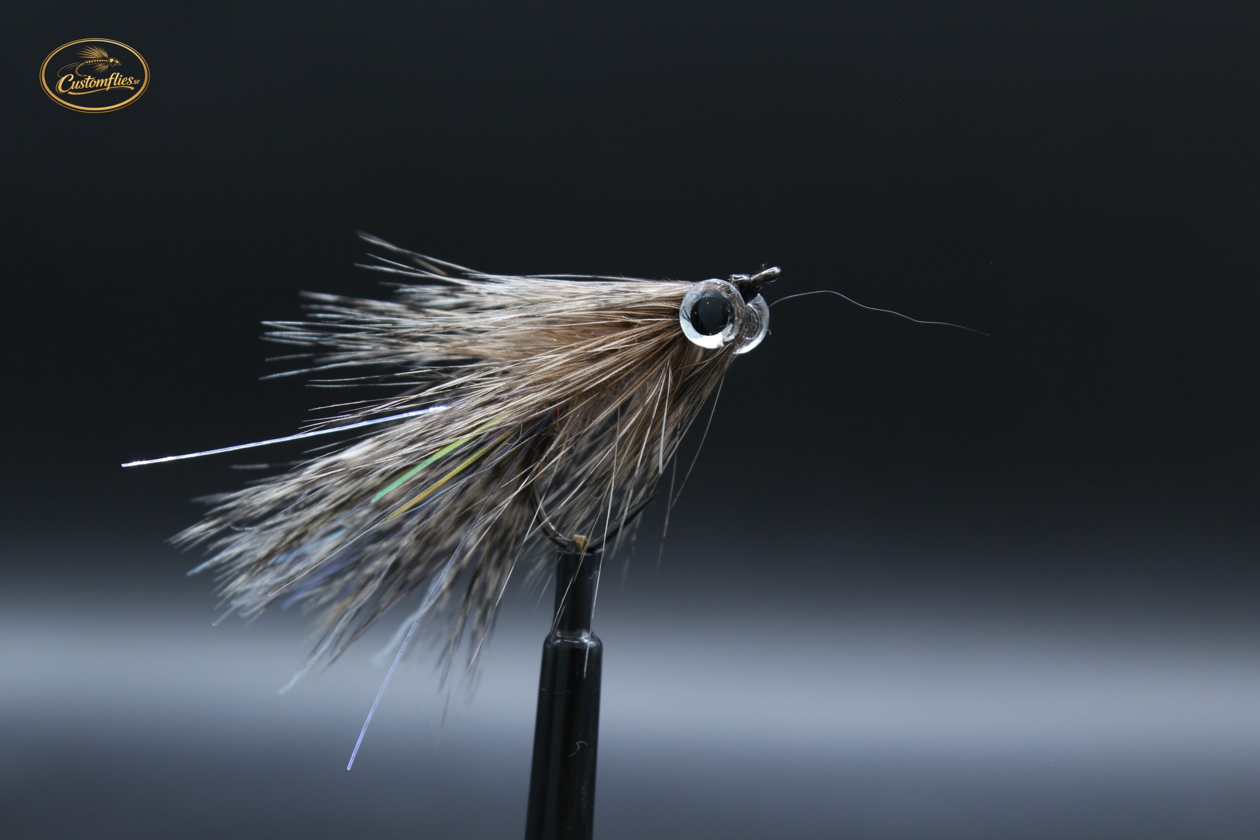 Baitfish