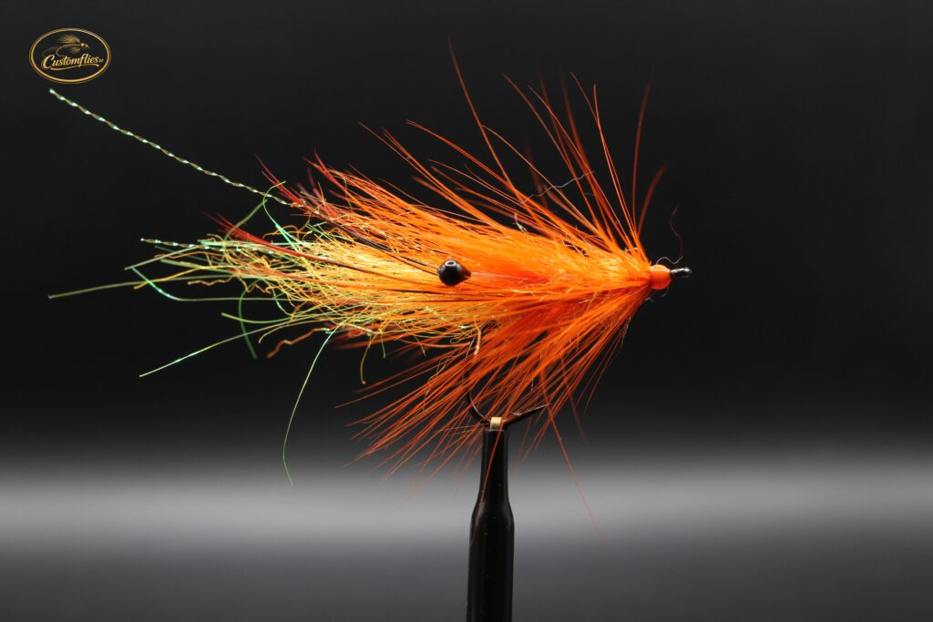 CF Shrimp Orange